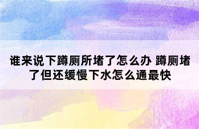 谁来说下蹲厕所堵了怎么办 蹲厕堵了但还缓慢下水怎么通最快